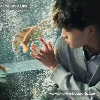 韶翊